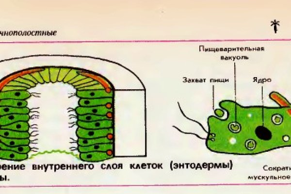 Кракен адрес тор