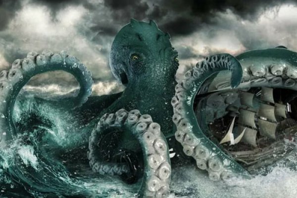 Kraken найдется все