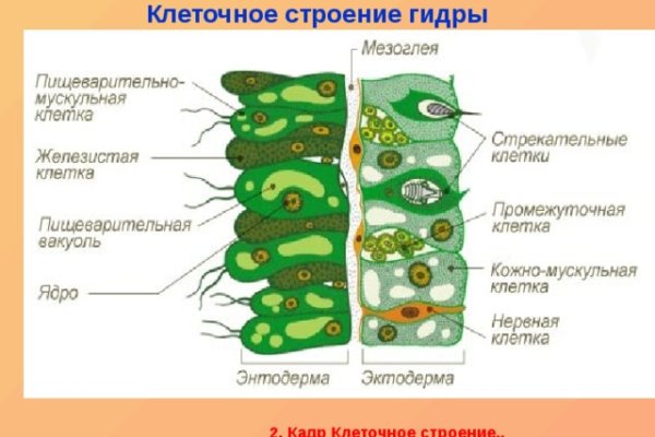 Кракен актуальная